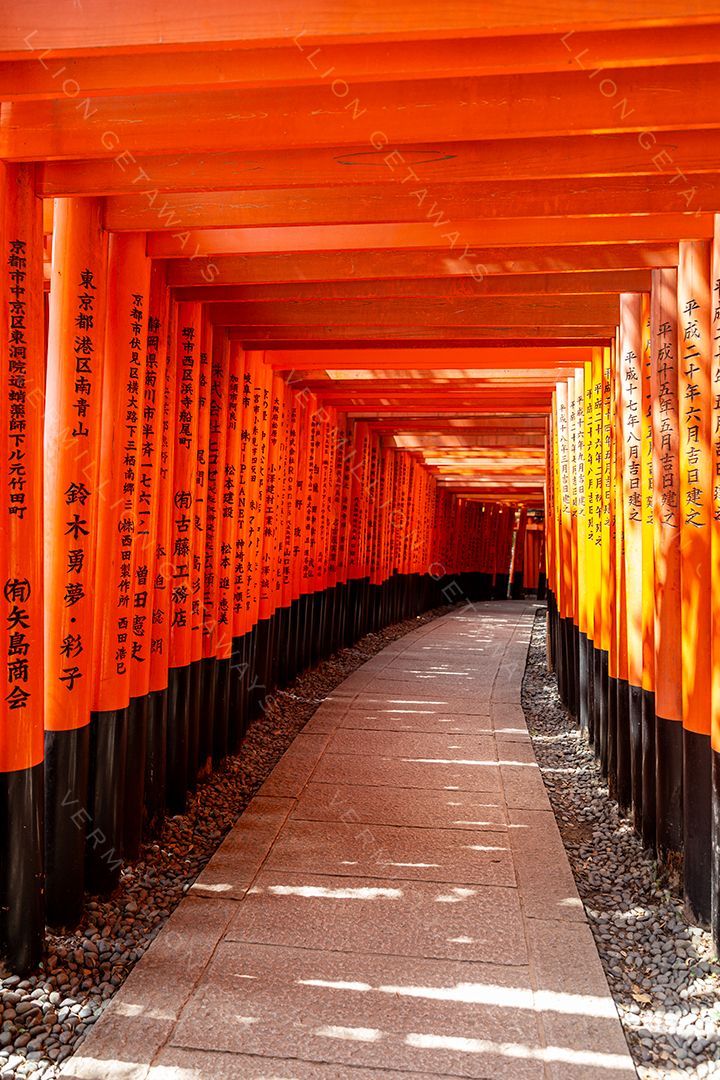 Japan — photograph by Hari Iyer