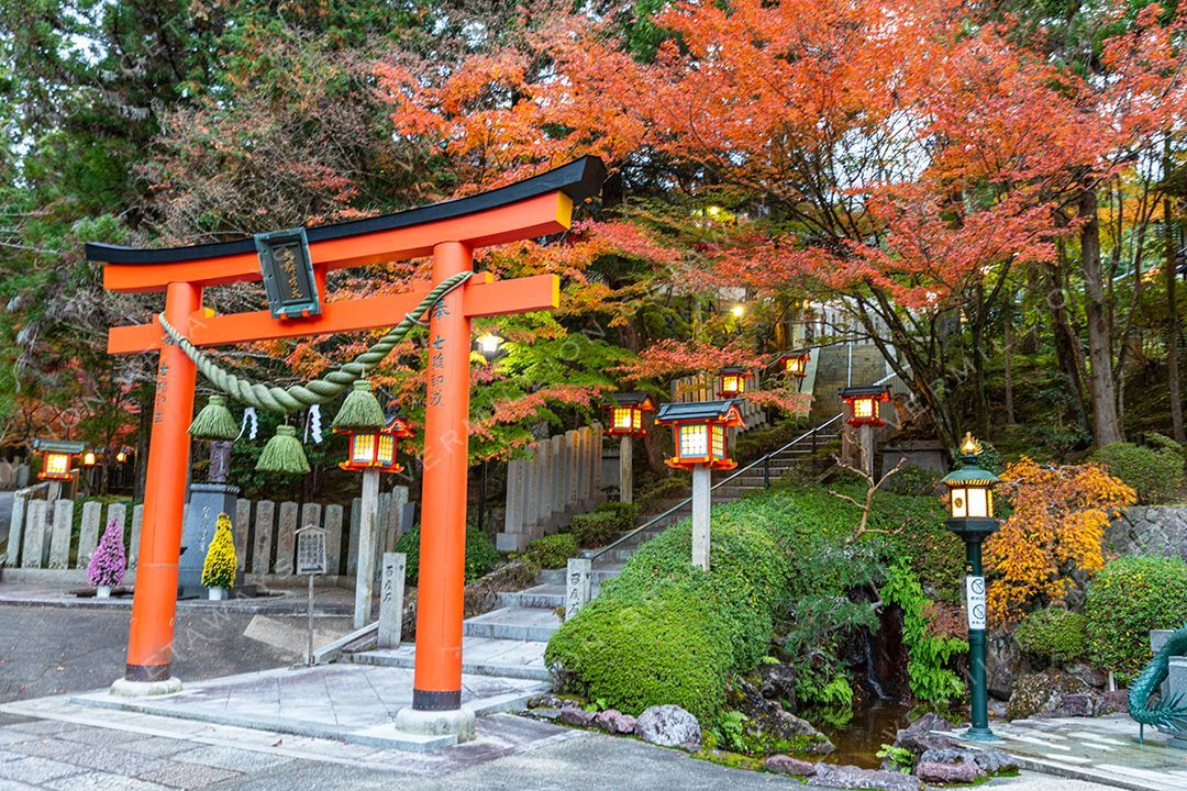 Japan — photograph by Hari Iyer
