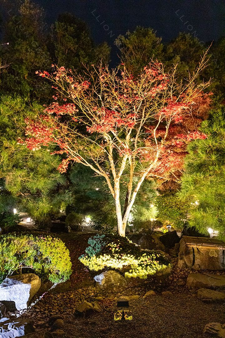 Japan — photograph by Hari Iyer
