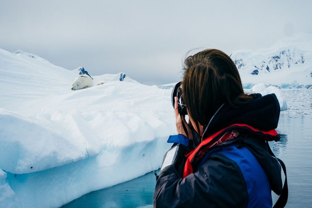 Photographers on an Antarctic expedition