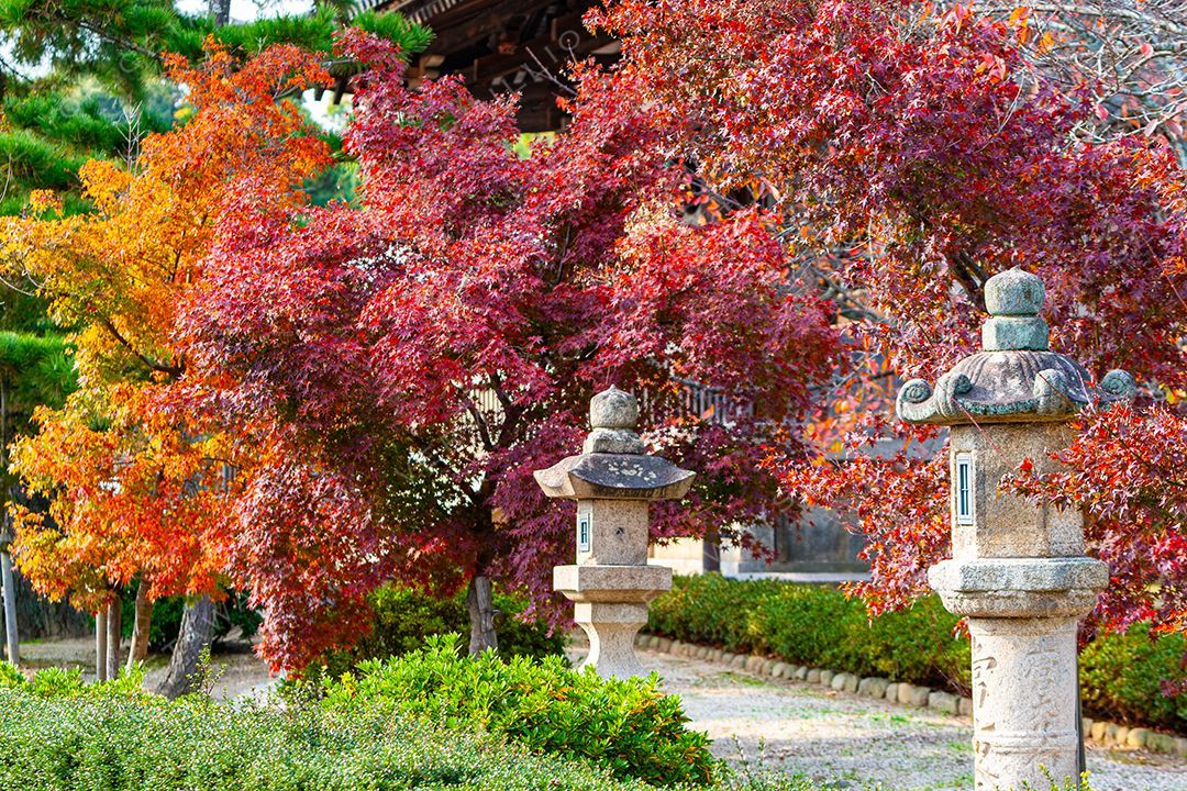 Japan — photograph by Hari Iyer