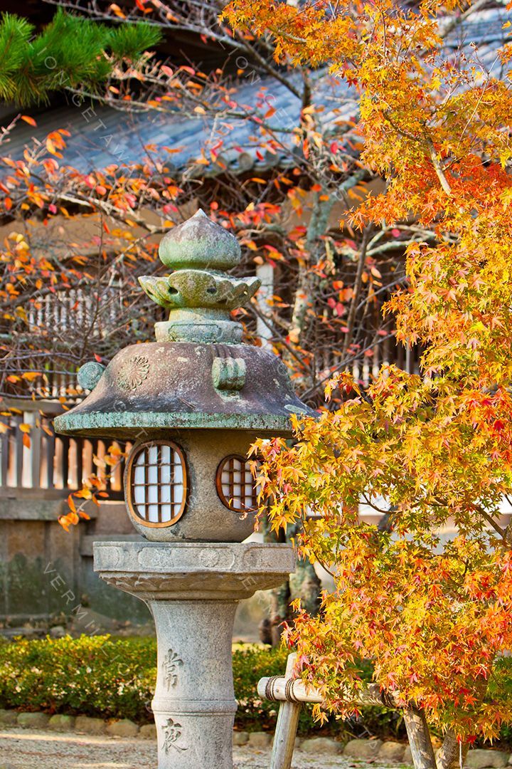 Japan — photograph by Hari Iyer