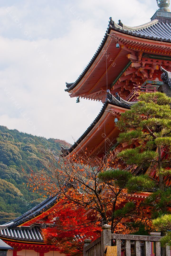 Japan — photograph by Hari Iyer