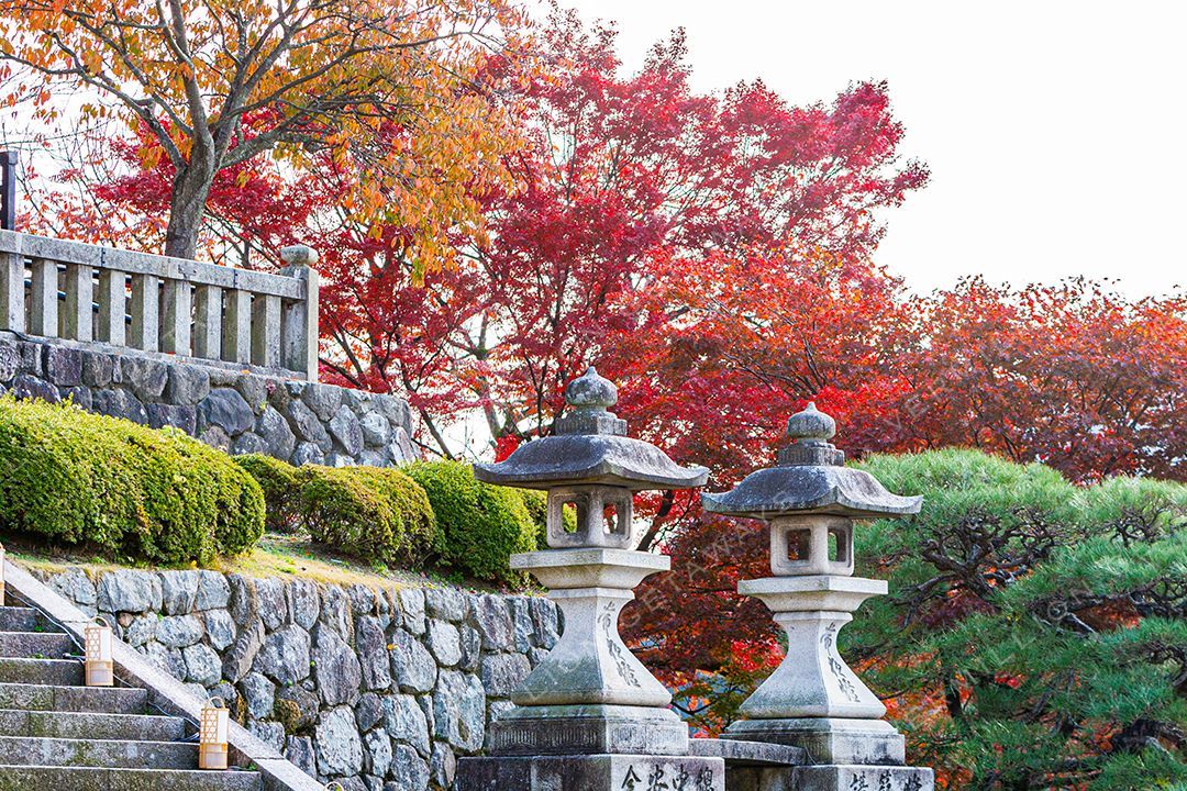 Japan — photograph by Hari Iyer